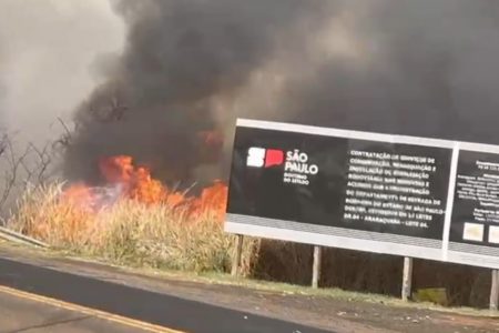 Incêndio atinge mata em trecho de estrada entre Boa Esperança do Sul e Dourado, interior de SP - Metrópoles