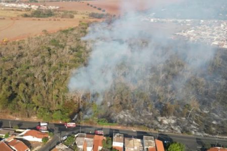 Defesa Civil informou que, neste sábado (31/8), sete municípios na região de Franca, Ribeirão e Rio Preto estão com focos ativos de incêndio - Metrópoles
