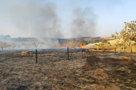 No sábado, um homem foi preso em flagrante após queimada em área de vegetação em SBC. Esta é a 11ª prisão por incêndios no estado de SP - Metrópoles