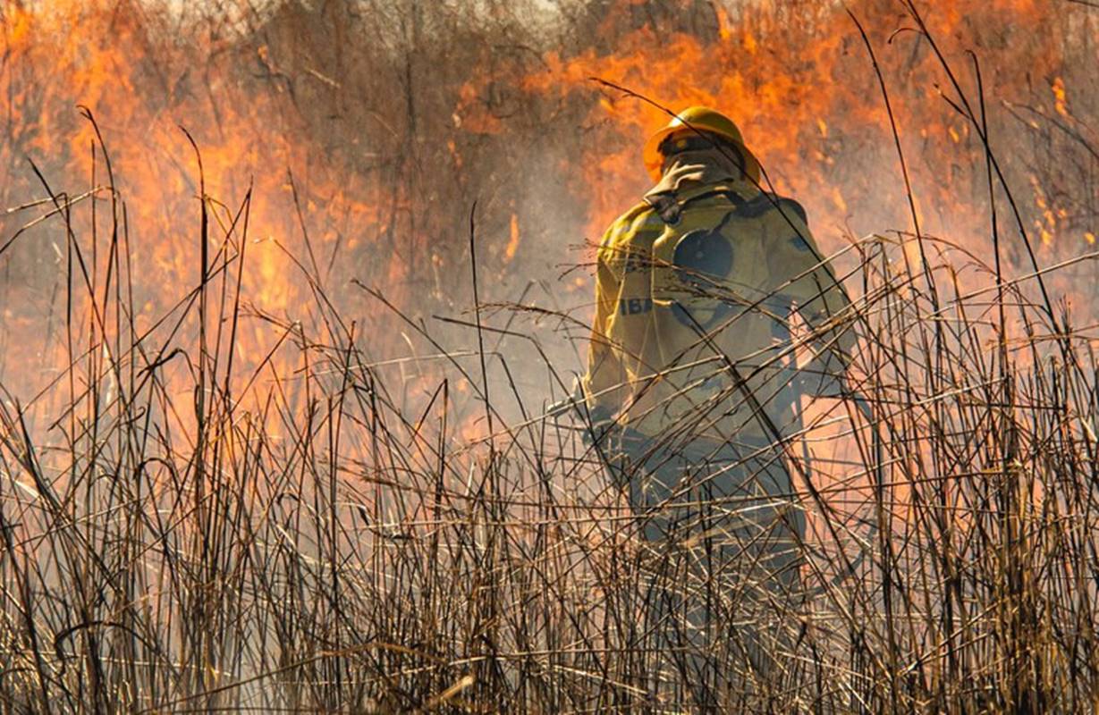 Brigadista - combate a incêndio - Ibama