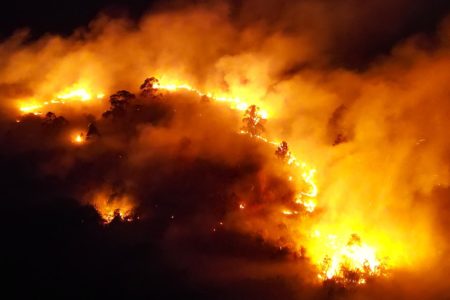 Incêndio em floresta mudanças climáticas