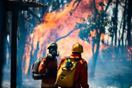 Imagem de bombeiros fardados e usando mangueiras para combater um incêndio na Floresta Nacional de Brasília