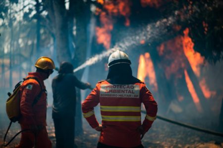Imagem de bombeiros fardados e usando mangueiras para combater um incêndio na Floresta Nacional de Brasília
