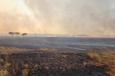 imagem colorida incendio chapada dos veadeiros