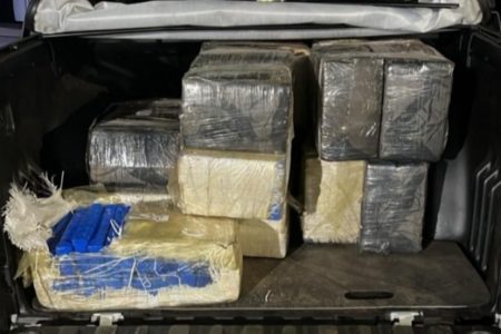 Imagem colorida de carga de maconha apreendida no interior de SP. Metrópoles