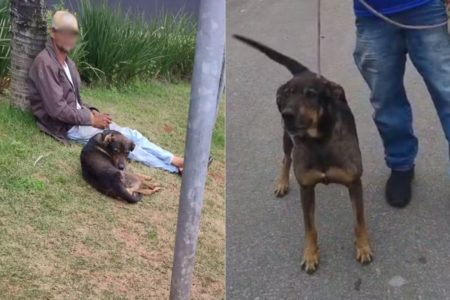 Vítima caminhava na via pública com a mãe quando foi atacado por cachorro de morador de rua. Criança foi encaminhada ao Hospital Irmã Dulce - Metrópoles