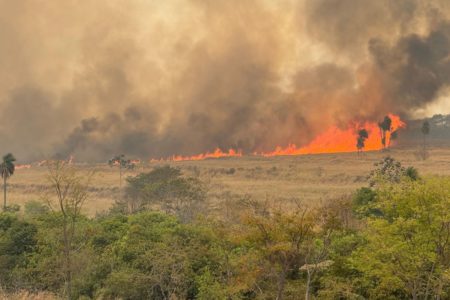 Fogo atinge área próxima ao aeroporto de São Carlos - Metrópoles