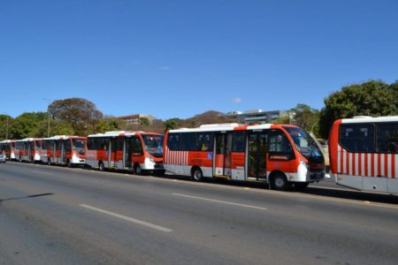 onibus zebrinhas
