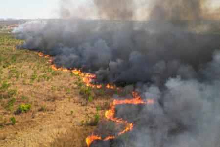 Foto colorida de incêndio no Parque Nacional de Brasília