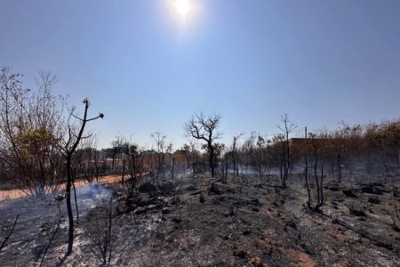 Imagem colorida do Parque Nacional de Brasília destruído após incêndio