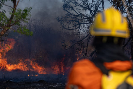 Foto colorida de brigadista do ICMBIO observando chamas. Incêndio atinge o Parque Nacional de Brasília, próximo à Granja do Torto, em 15/09/24 - Metrópoles