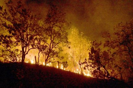 Imagem colorida, Amazônia sendo devastada pelo incêndio florestal - Metrópoles