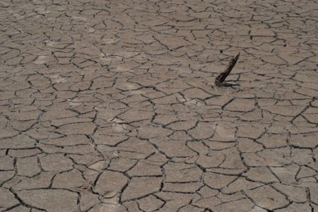 Imagem colorida de seca em rio do Amazonas - Metrópoles