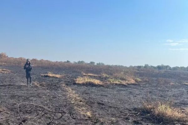 Imagem colorida de estrago do fogo n Pantanal - Metrópoles
