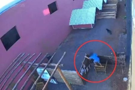 Reprodução imagem colorida de criança pulando muro de hospital veterinário no Paraná