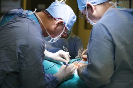 Médicos durante cirurgia ou dissecação - Metrópoles
