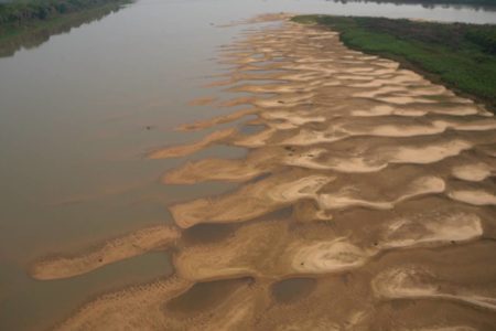 imagem colorida de rio paraguai, pantanal