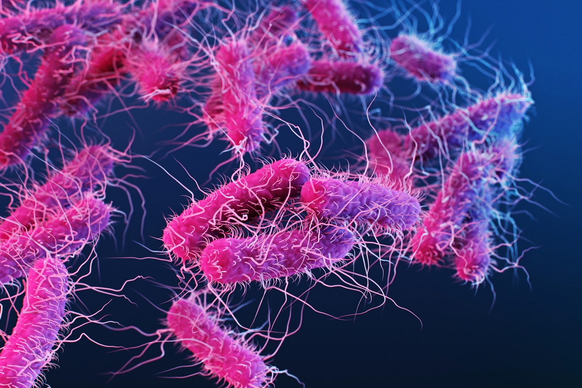 Ilustração de bactérias Enterobacteriaceae. Bactérias individuais são mostradas como formas de haste rosa com múltiplos flagelos semelhantes a pelos usados para motilidade. - Metrópoles