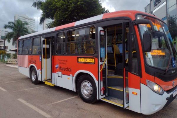 Foto colorida de onibus tipo zebinha