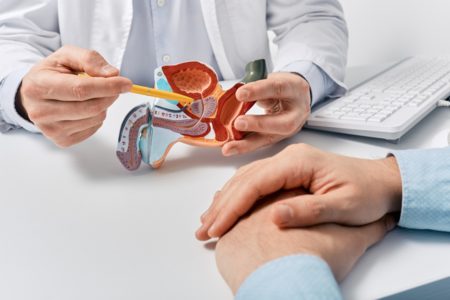 Médico mostra modelo de próstata para paciente - Metrópoles - câncer de próstata
