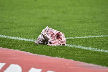 Imagem colorida cabeça de porco no Corinthians e Palmeiras - Metrópoles