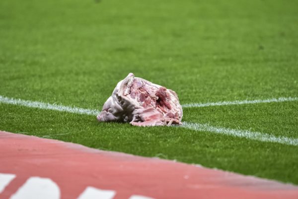 Imagem colorida cabeça de porco no Corinthians e Palmeiras - Metrópoles