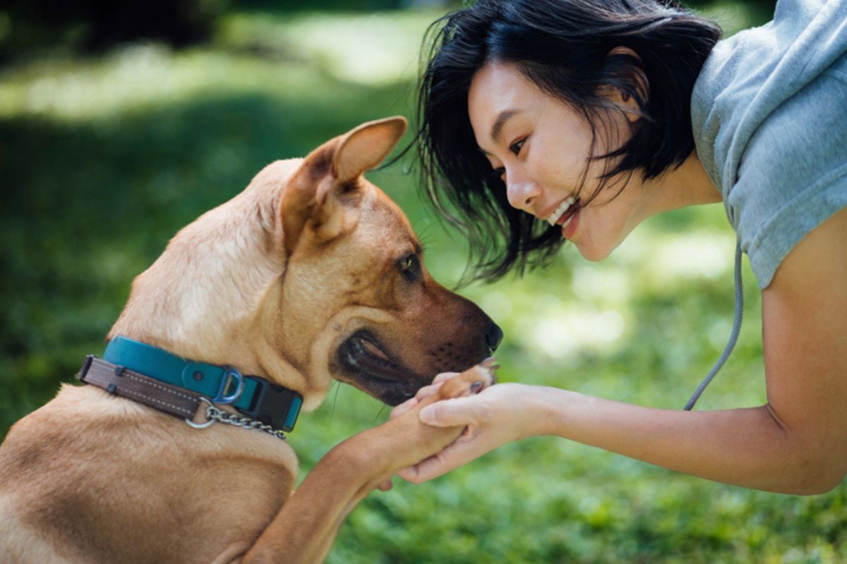 Imagem colorida de mulher segurando na pata de cachorro