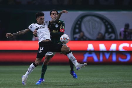 Palmeiras x Botafogo-APOSTAS