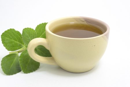 Foto mostra xícara de Chá de Boldo. Chá natural e medicinal. Planta verde fresca.