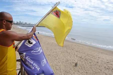 imagem colorida sinalização aguas vivas litoral sc
