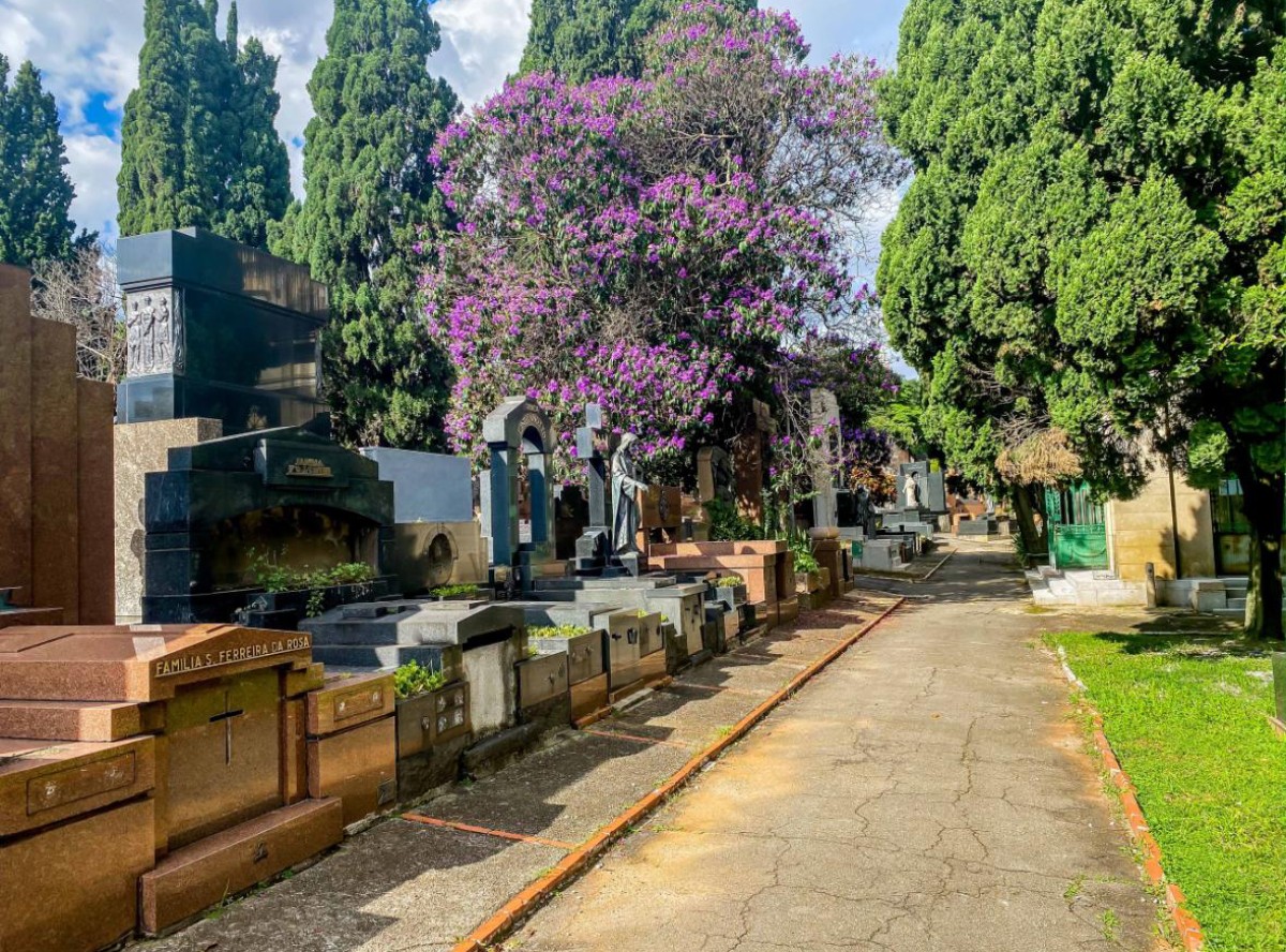 Fotografia colorida mostrando cemitério-Metrópoles