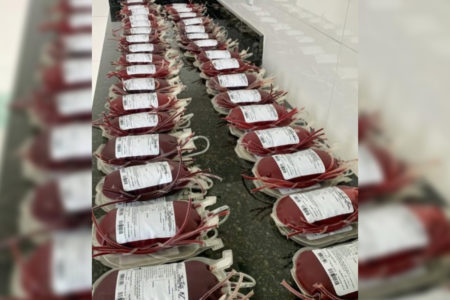 imagem colorida doaçao de sangue pets