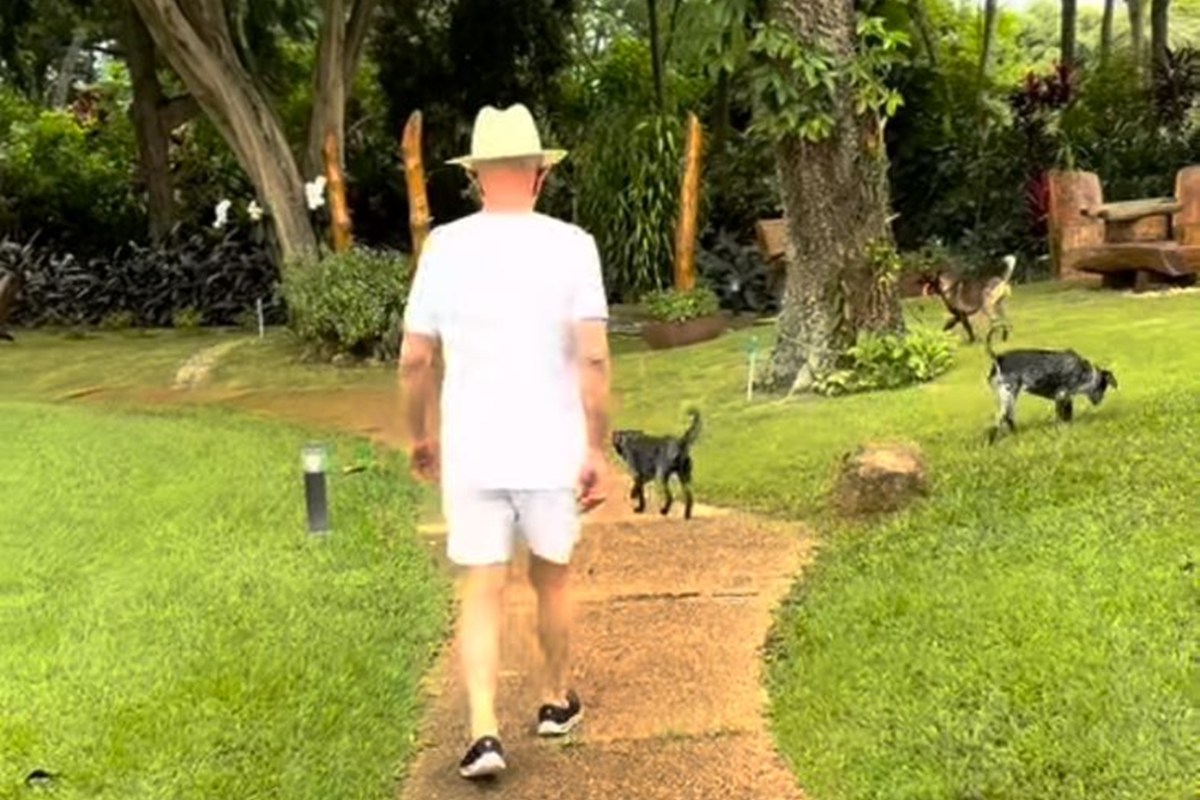Imagem colorida de presidente Lula de costas em caminhada - Metrópoles