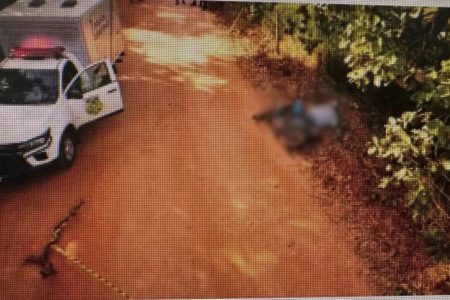 imagem colorida pai morto herança goias