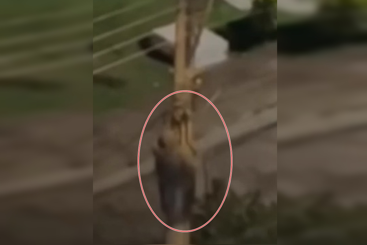 Imagem colorida de homem tentando furtar cabos