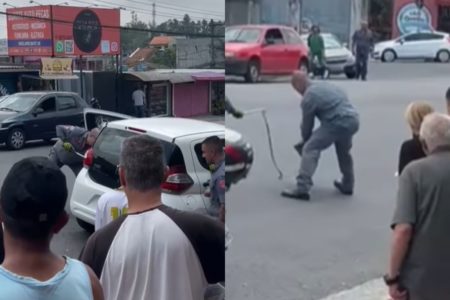 O Corpo de Bombeiros foi acionado para atender a ocorrência. Após ser retirada do carro, a cobra foi solta na natureza - Metrópoles