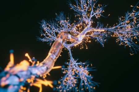 Vista de perto da célula neuronal - imagem renderizada em 3D da célula neuronal em fundo preto. Metrópoles