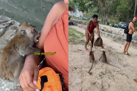 Imagem colorida, influencer brasileira sendo mordida por macaco - Metrópoles