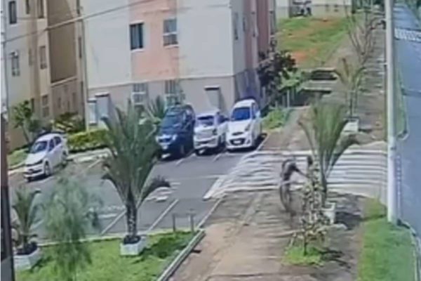 Bandido ataca mulher em bicicleta