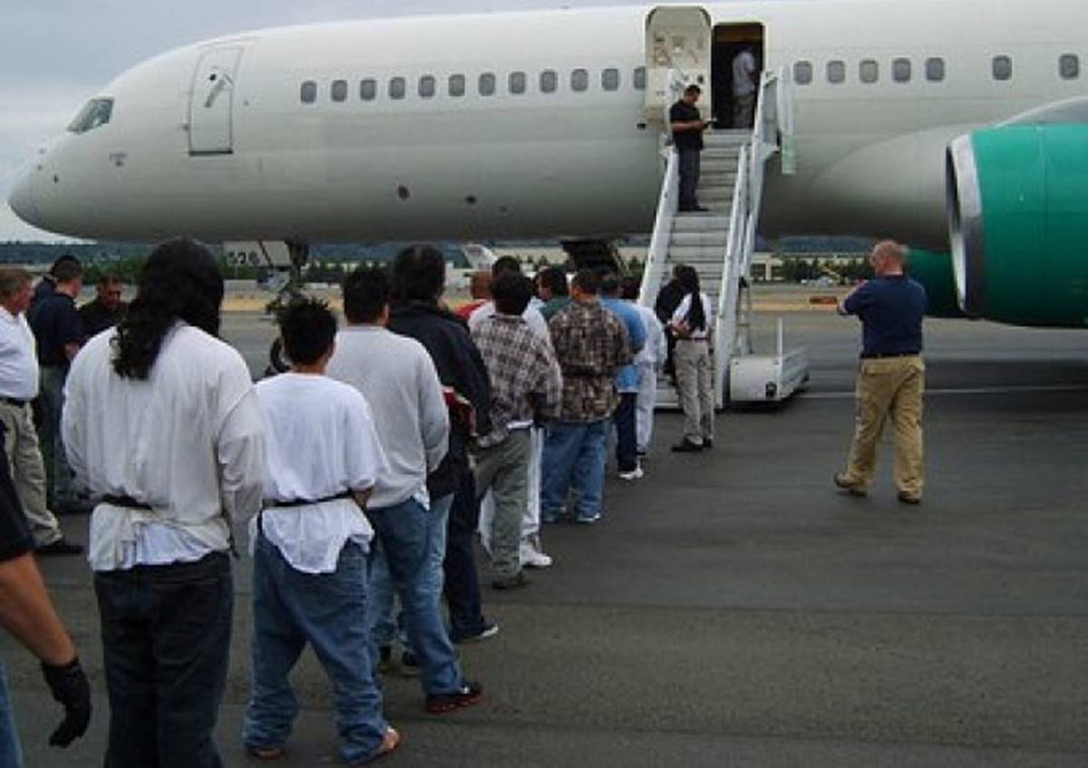 Imagem colorida de brasileiros deportados - Metrópoles