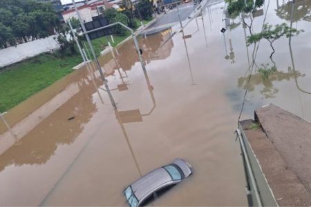 Entre os dias 1 e 2 de fevereiro, São Paulo registrou 161 mm de chuva. A média climatológica do mês é de 246 mm, segundo a Defesa Civil - Metrópoles