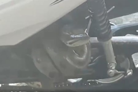 iMAGEM COLORIDA DE SUCURI EM MOTO