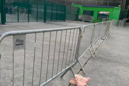 Imagem colorida de cabeça de porco na entrada do Allianz Parque- Metrópoles