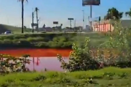 imagem colorida. "Riacho de sangue" na argentina