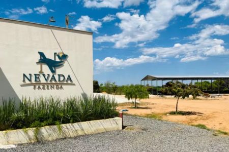 Imagem de fachada de unidade do Grupo Nevada - Metrópoles