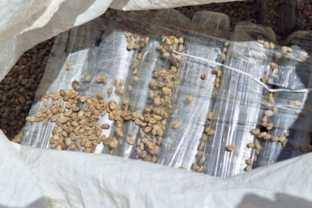 Apreensão de 815 quilos de cocaína no Porto de Santos; droga estava escondida em carga de café - Metrópoles