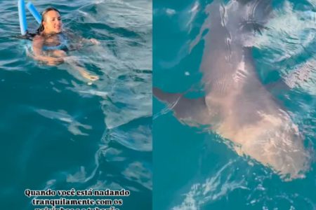 Turista dá de cara com tubarão em Noronha Chutei o coitado. Vídeo