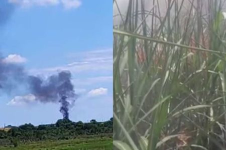 Queda de avião em área de vegetação da Estrada Municipal Zulmira Coelho Miranda de Oliveira, na cidade Quadra - Metrópoles