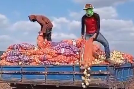 Homens jogando produção agrícola fora. imagem colorida