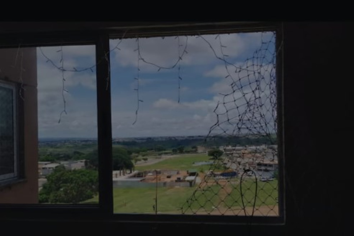 Homem arrremessa gato de apartamento, mata outro felino envenenado e esconde corpos em terreno baldio